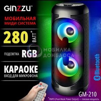 Беспроводная колонка Ginzzu GM-210 Черный